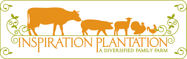 Inspiration Plantation - a diversified family farm